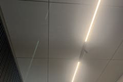 IMG_1966
