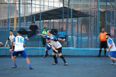 Copa-C3-02-08-950