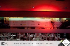 Grape-Tasting-6