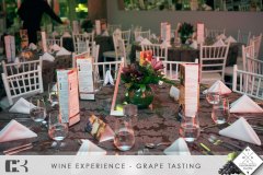 Grape-Tasting-8