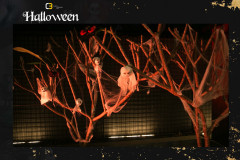 016-C3-Halloween-82