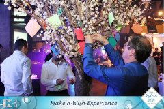 Make-a-Wish-41
