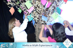 Make-a-Wish-43