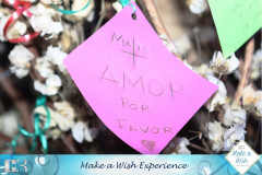 Make-a-Wish-44