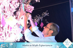 Make-a-Wish-51