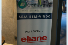 conexoes-c3-eliane-1