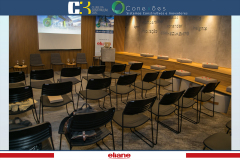 conexoes-c3-eliane-24