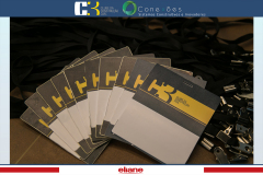 conexoes-c3-eliane-3