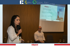 conexoes-c3-eliane-33