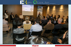 conexoes-c3-eliane-34