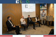 conexoes-c3-eliane-36