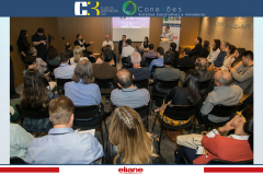 conexoes-c3-eliane-38