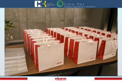 conexoes-c3-eliane-44
