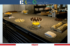 conexoes-c3-eliane-5