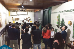 visita-duraflor-2