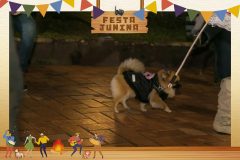Weekend-Festa-Junina-161