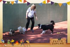 Weekend-Festa-Junina-257