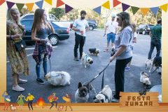 Weekend-Festa-Junina-95