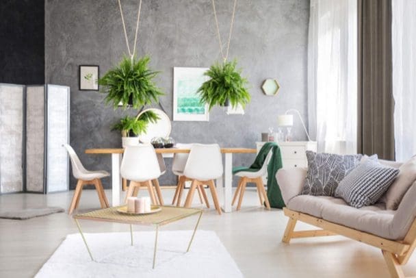 decoração