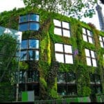 jardins suspensos