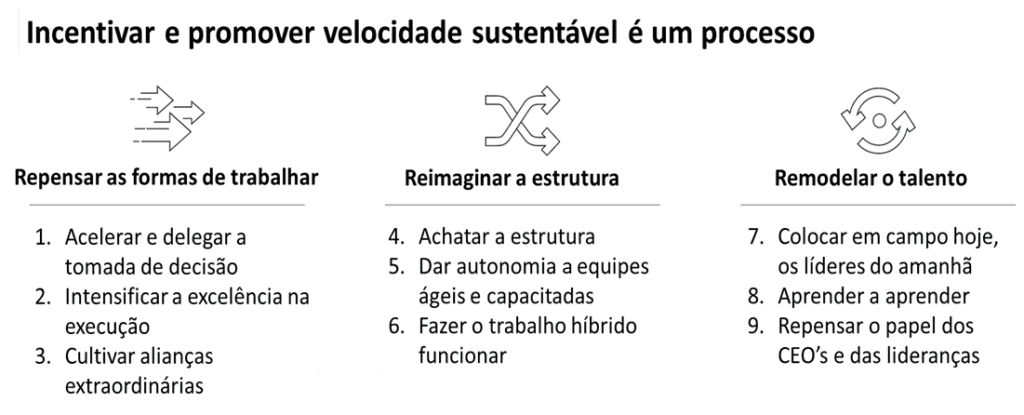 ORGANIZAÇÕES