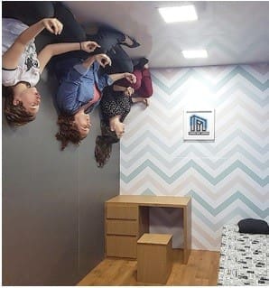 Exposições