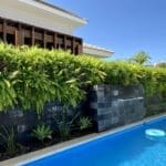 JARDIM VERTICAL