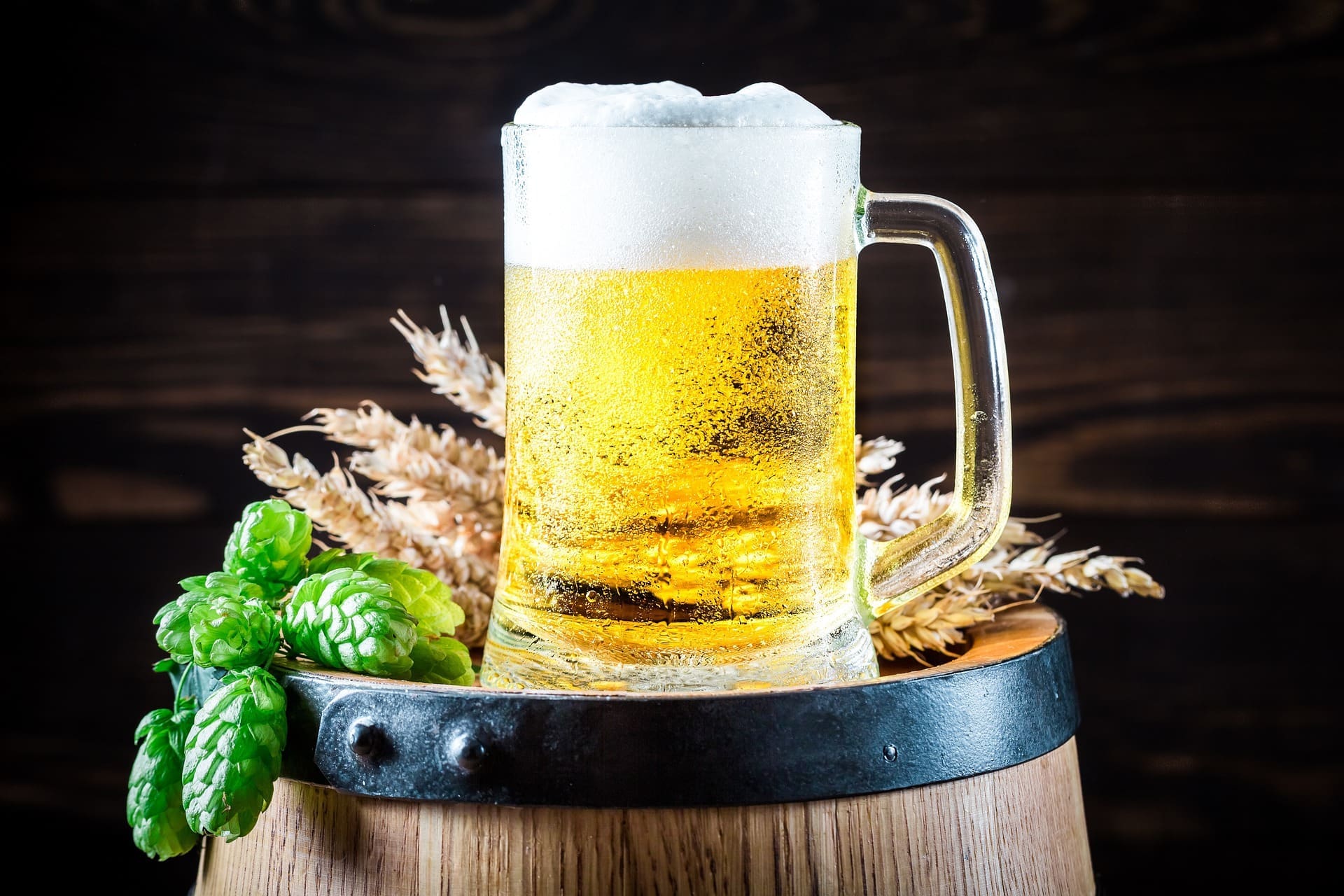Cerveja