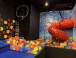 Museu