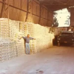 50 Anos da Bela Vista